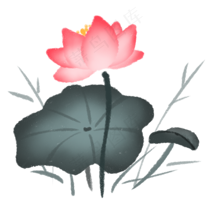 水墨中国风植物荷花