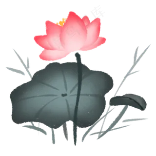 水墨中国风植物荷花