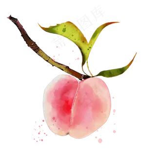 夏天夏日水果水彩桃子电商免扣装