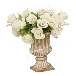 实拍礼物白色鲜花