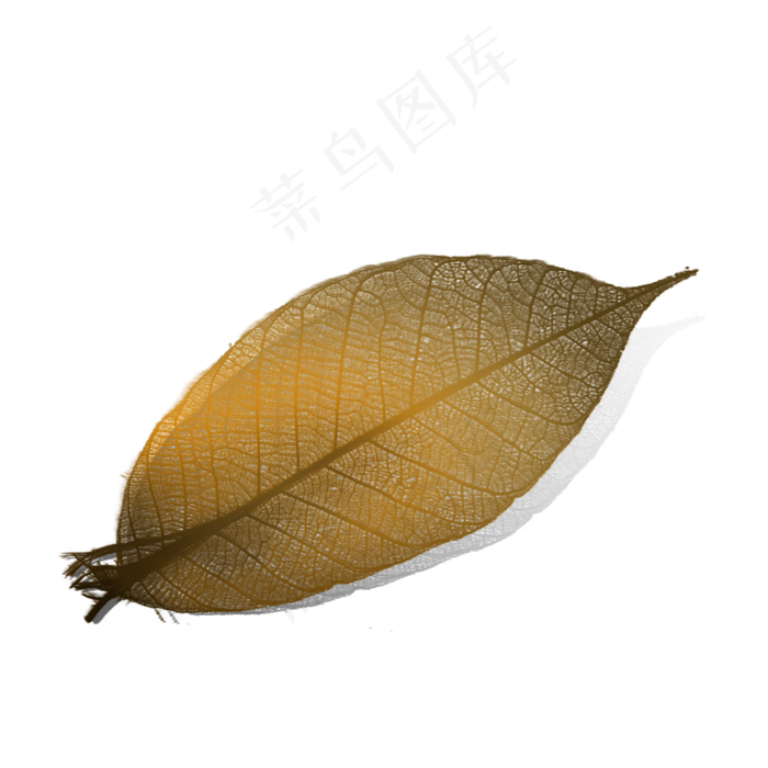 黄色茶叶枯叶(2000X2000(DPI:300))psd模版下载