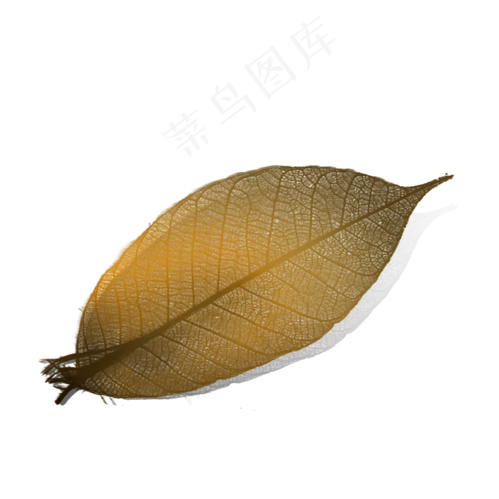 黄色茶叶枯叶(2000X2000(DPI:300))psd模版下载