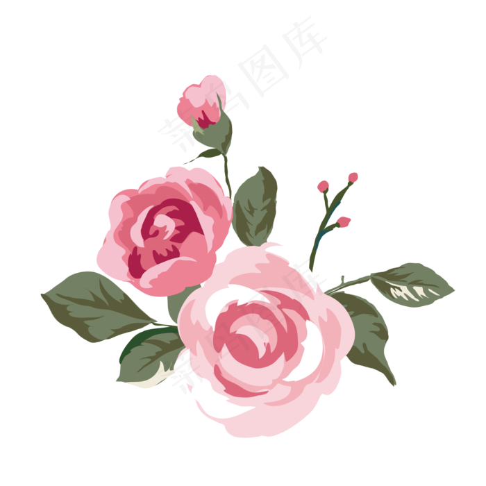 卡通盛开的两朵玫瑰花免抠图(2000*2000px 300 dpi )ai矢量模版下载