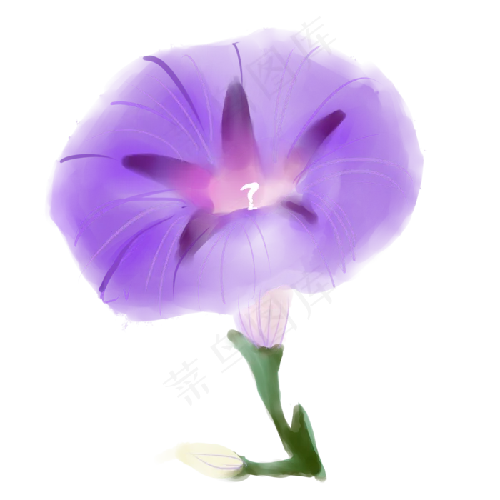 牵牛花商用元素(2000X2000(DPI:72))psd模版下载