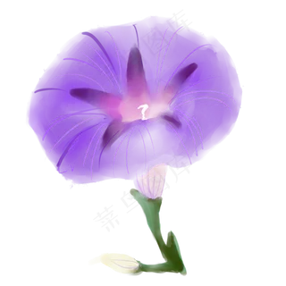 牵牛花商用元素