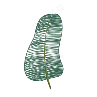 叶子手绘抽象风格元素