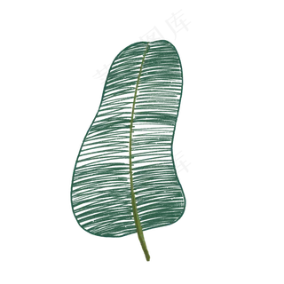 叶子手绘抽象风格元素