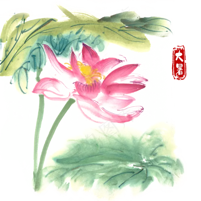 大暑鲜艳的荷花(4724X4724(DPI:300))psd模版下载