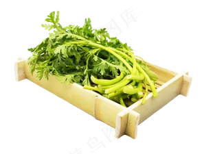 新鲜蔬菜茼蒿,免抠元素