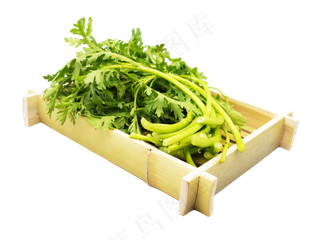 新鲜蔬菜茼蒿,免抠元素