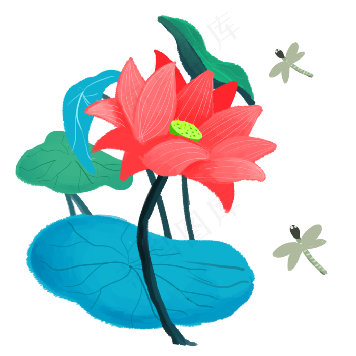 夏季节气荷花荷叶