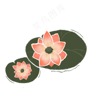 荷叶莲花清新淡墨