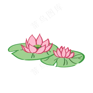 简约睡莲荷花荷叶
