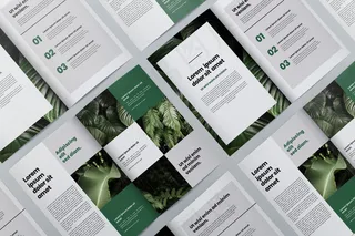 小册子概念模型样机