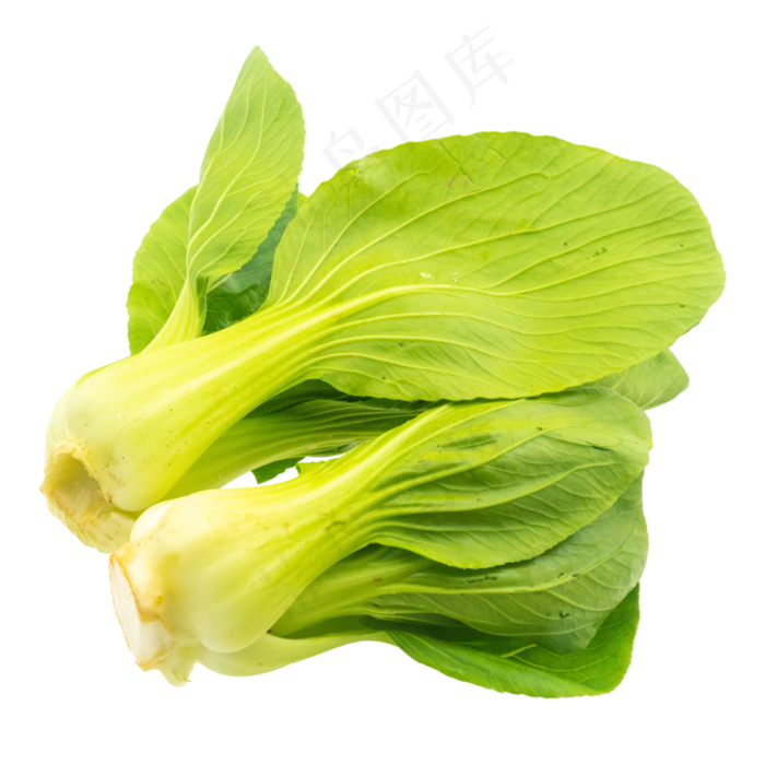 新鲜蔬菜油菜(3000X4000(DPI:72))