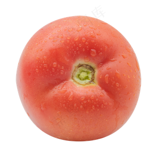 有机蔬菜西红柿
