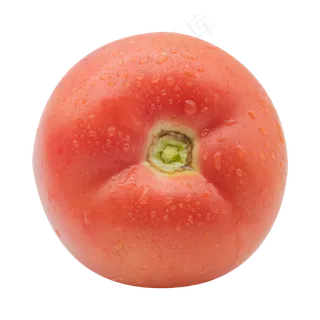 有机蔬菜西红柿 有机蔬菜西红柿