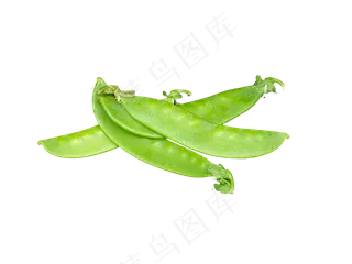 豆角绿豆荚