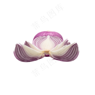 切开紫色洋葱