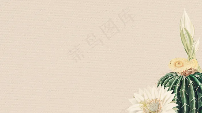 复古绿色仙人掌与花框背景设计元素