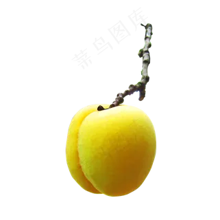 黄色果子免扣