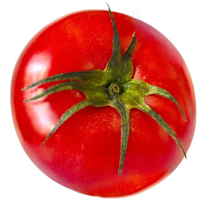 蔬菜番茄柿子(1024X1369(DPI:300))