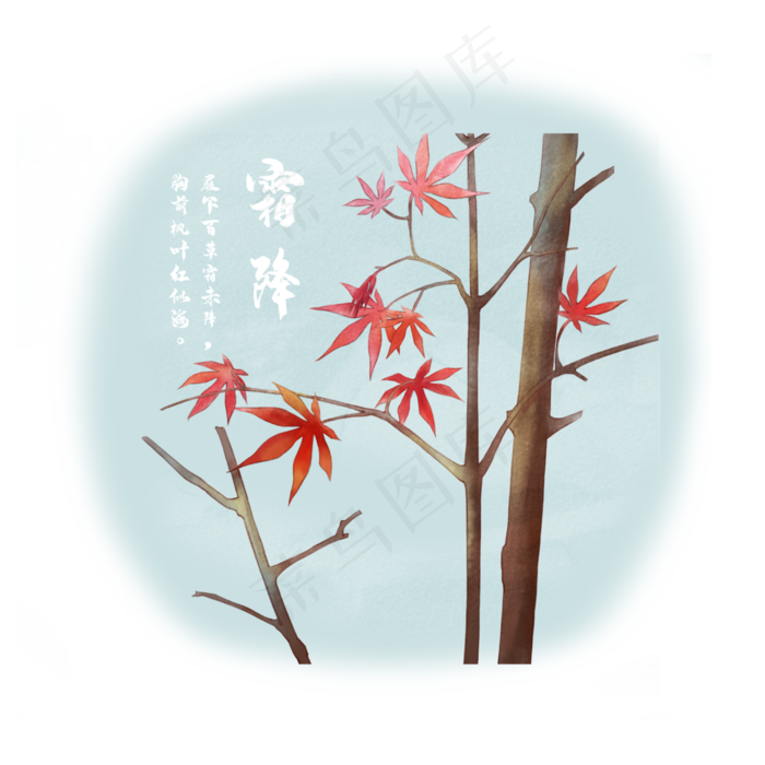 时节节气立冬红色枫叶(3543X4724(DPI:150))psd模版下载