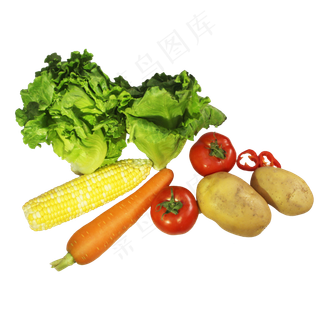 生菜土豆玉米胡萝卜西红柿辣椒蔬