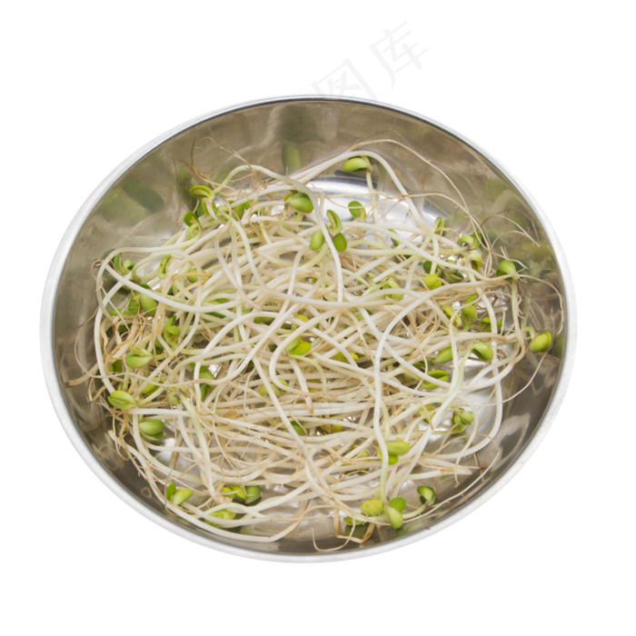 绿豆豆芽蔬菜