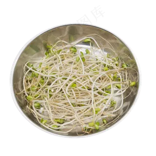 绿豆豆芽蔬菜