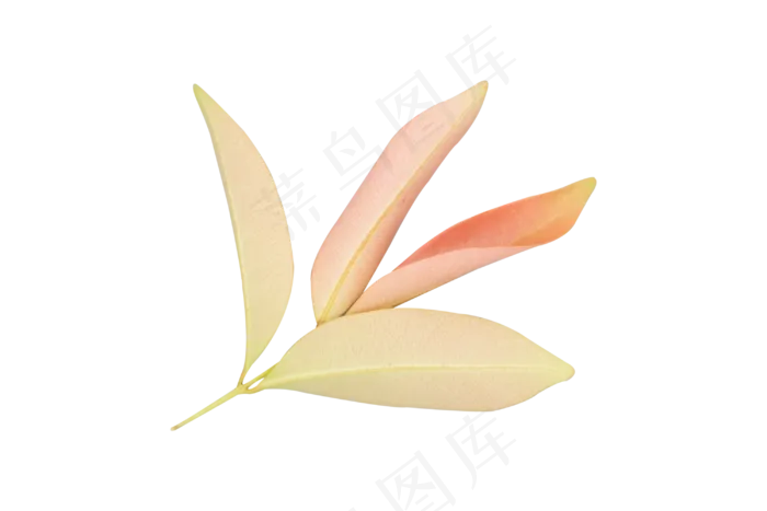 秋天红色树枝(3000X3000(DPI:300))