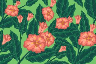 彩色背景，粉红色的花朵和叶子