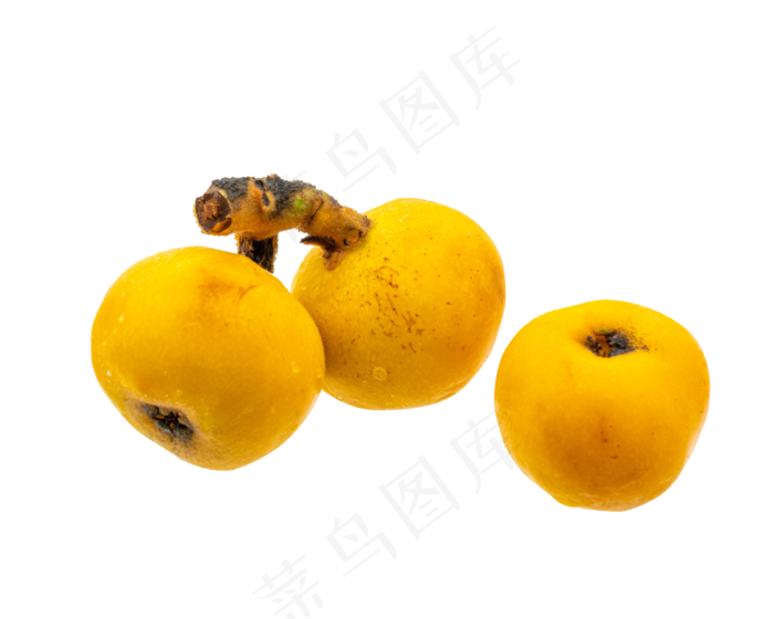 三个黄色枇杷