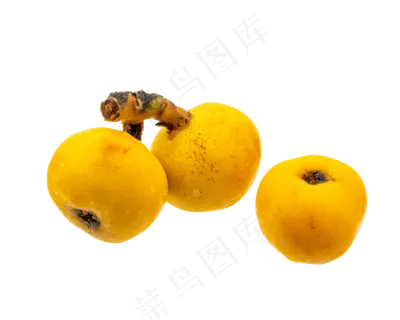 三个黄色枇杷
