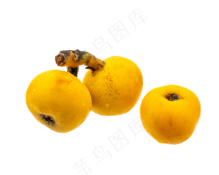 三个黄色枇杷
