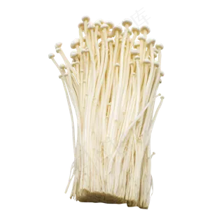 白色金针菇蔬菜 白色金针菇蔬菜