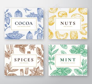 手绘可可豆、薄荷、坚果和香料卡片套装。抽象素描背景与经典的复古排版收集。手绘可可，坚果，薄荷枝和香料。