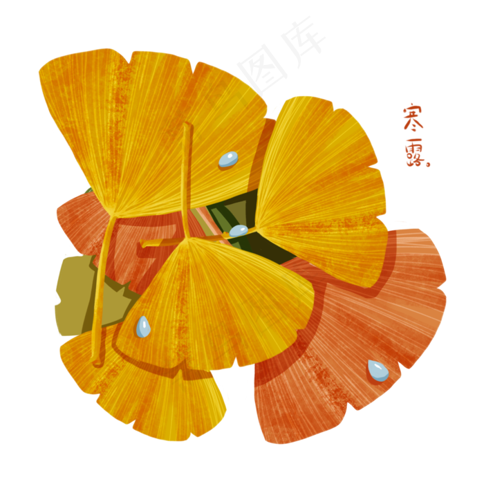 寒露黄色银杏叶(2000X2000(DPI:132))psd模版下载