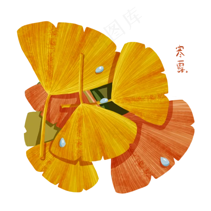 寒露黄色银杏叶(2000X2000(DPI:132))psd模版下载