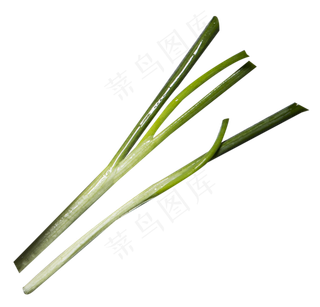小葱蔬菜
