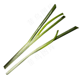小葱蔬菜
