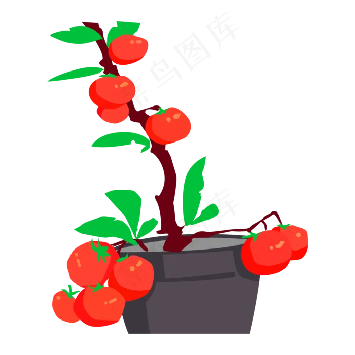 手绘卡通西红柿盆栽(2000X2000(DPI:300))psd模版下载
