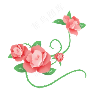 情人节玫瑰花花圃