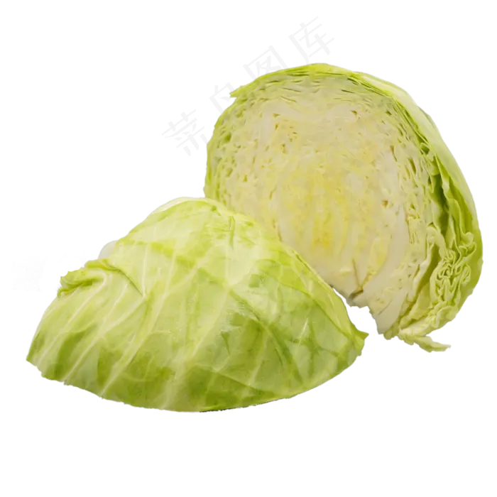 蔬菜食材茴子白(2000*2000px 300 dpi )