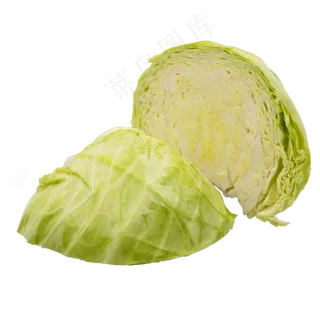 蔬菜食材茴子白 蔬菜食材茴子白
