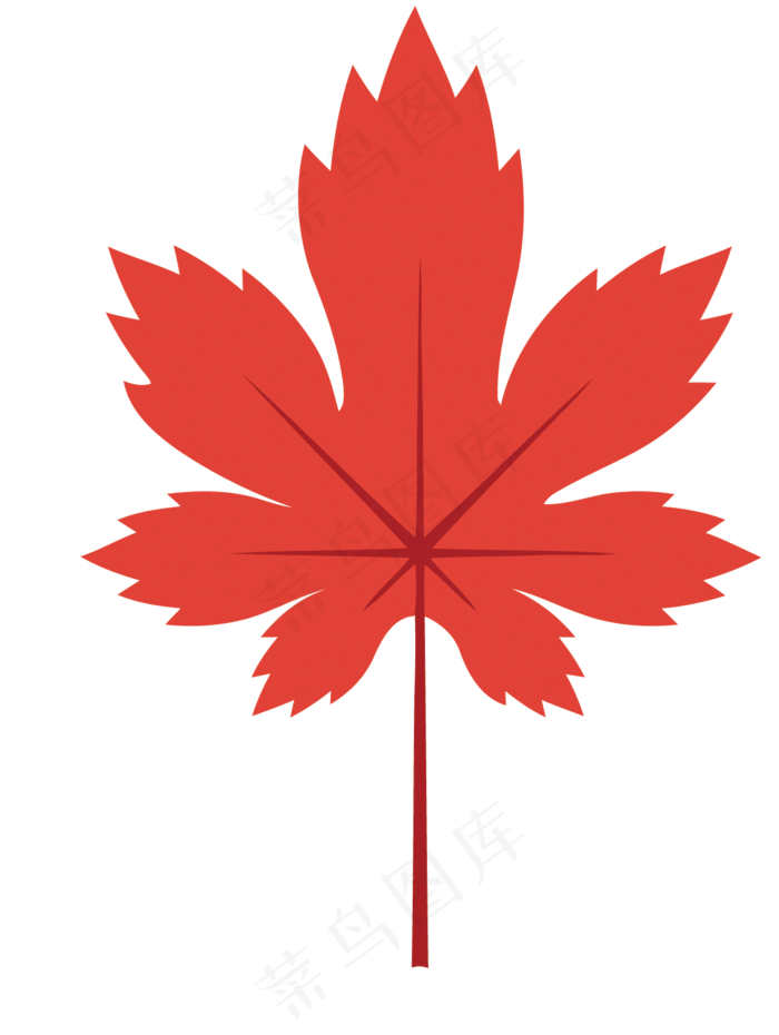 卡通枫叶矢量图下载