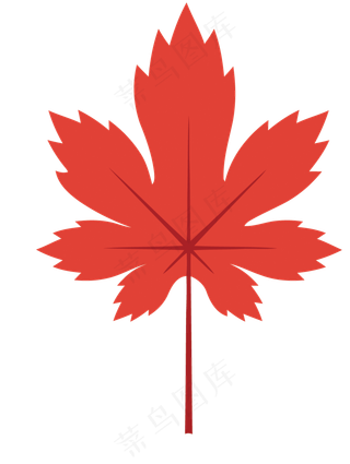 卡通枫叶矢量图下载