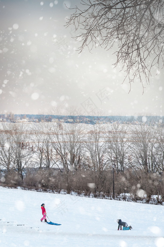 唯美二十四节气大雪背景图片