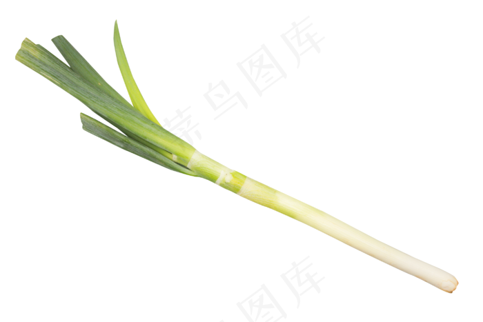 调味料大葱蔬菜