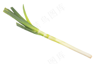 调味料大葱蔬菜